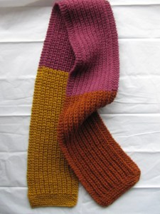 IMG_4792 Multi coloured scarf