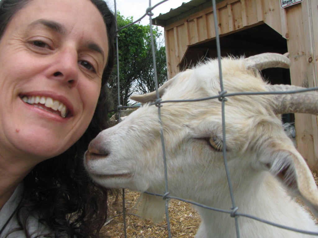 Some goat lovin'!